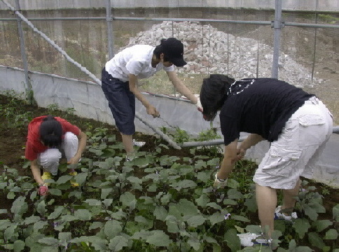 크게보기