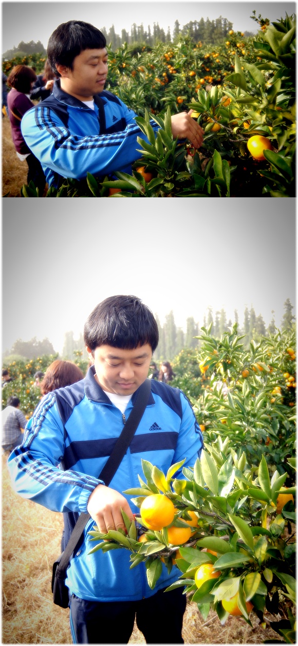 크게보기