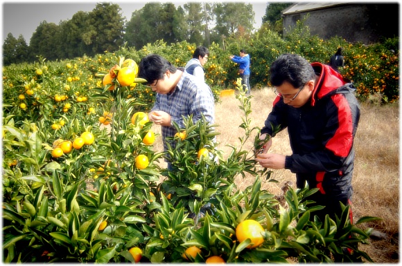 크게보기