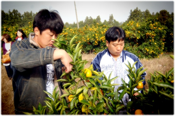크게보기