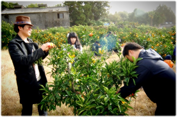 크게보기